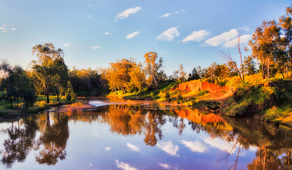 dubbo-lp-hero-image-2.jpg