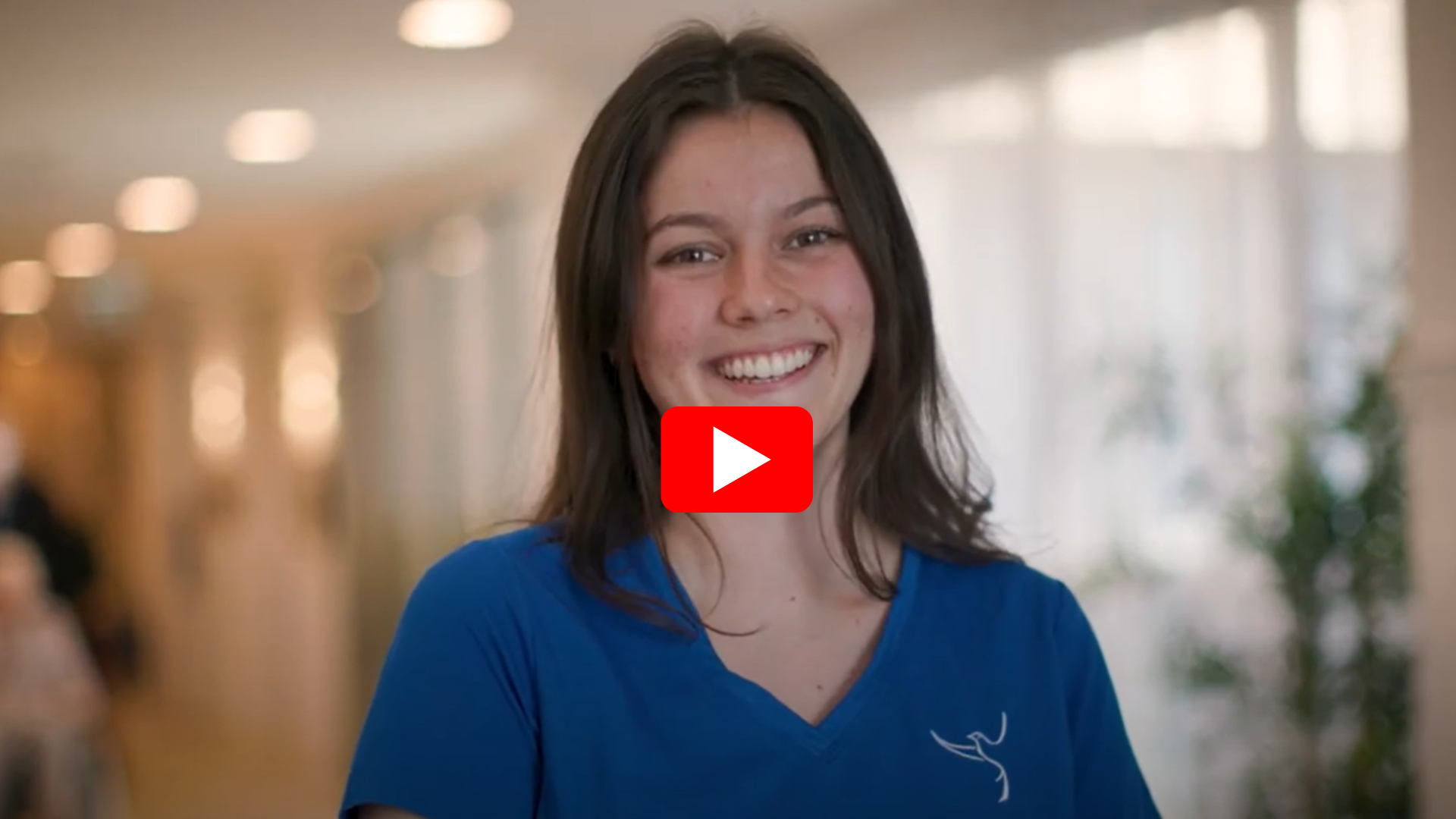 Student placements and traineeships