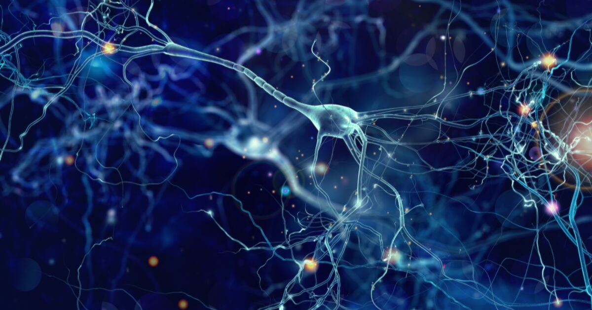 brain_1200x628_website