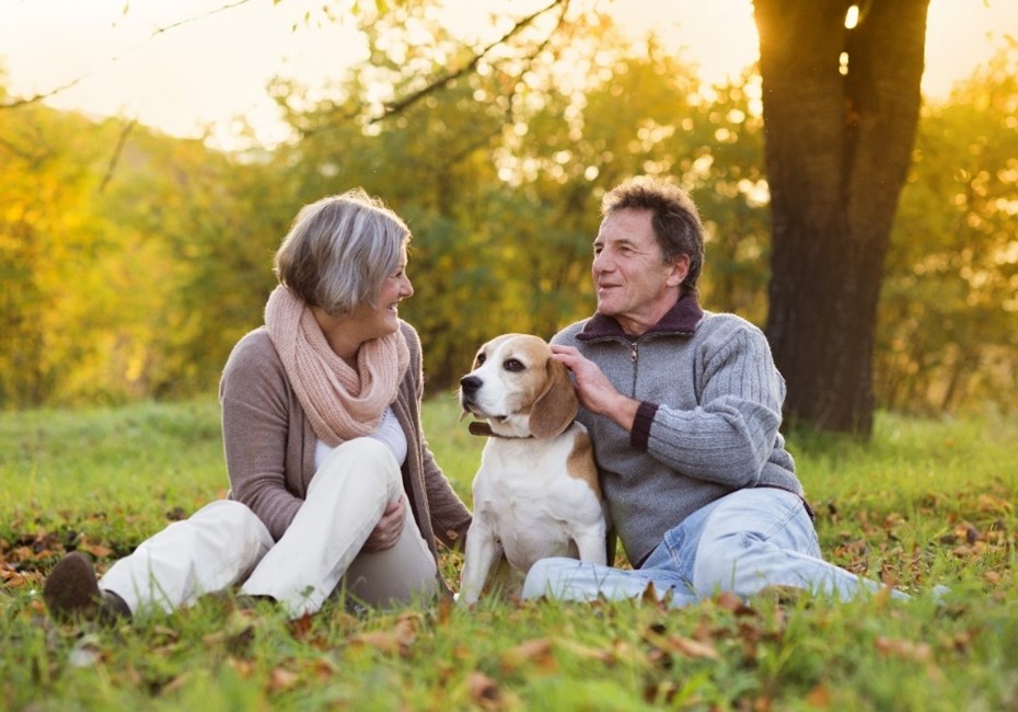 retired_life_tips